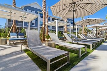 Poolside lounge chairs with umbrellas and palm trees